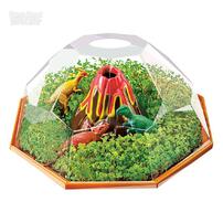 Kidzmaker Plant Growing Dinosaur Terrarium