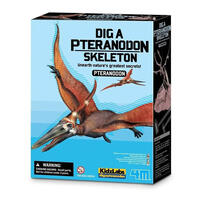 4M KidzLabs - Dig A Pteranodon Skeleton