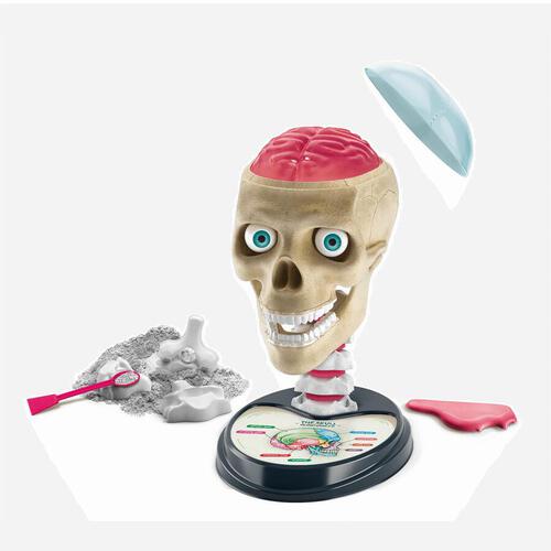 Clementoni Crazy Anatomy