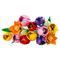(Pre-Order) LEGO Botanicals Tulip Bouquet 11501 (Estimated Early Jan 2026)