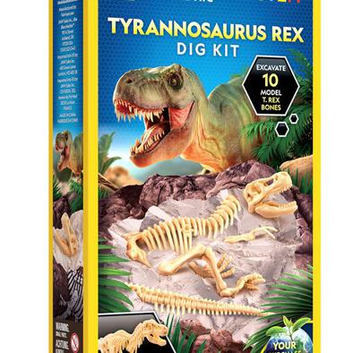 National Geographic: T-Rex Skeleton Dig Kit