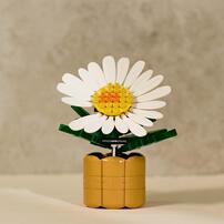 (Online Exclusive Pre-Order) Oxford G-Dragon 818 Bloom Bricks (Estimated Early Apr 2026)