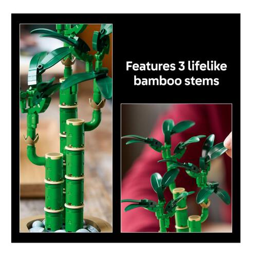 LEGO Botanicals Lucky Bamboo 10344