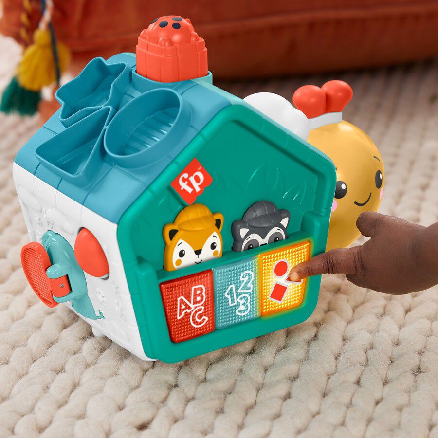 Fisher price push and go sales