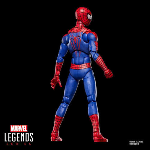 Marvel Legends Series The Amazing Spider-Man