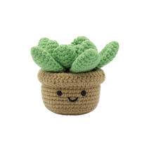 playpop Crochet DIY Set Succulent