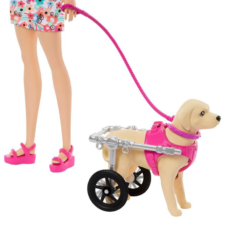 Barbie Doll With Puppy In Wheelchair Set Toys R Us Brunei Official Website