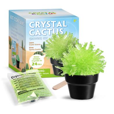 Green Crystal Cactus Growing Kit