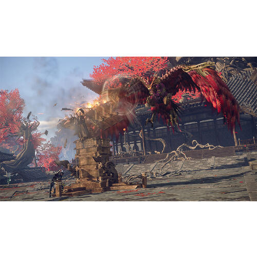 Nintendo Switch 2 Wild Hearts S