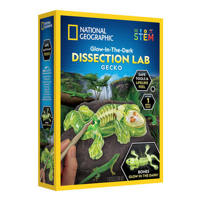 Nat Geo Gecko Dissection Lab