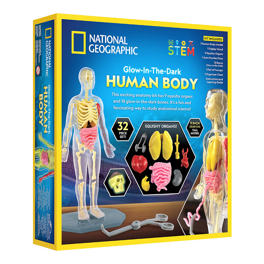 Human body science kit new arrivals