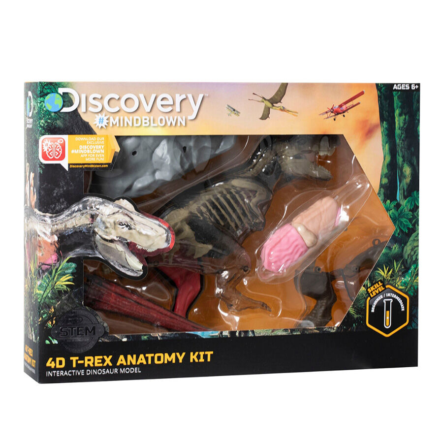 Discovery toys website deals