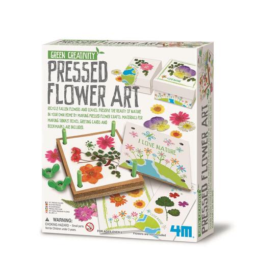 4M Green Creativity Pressed Flower Art