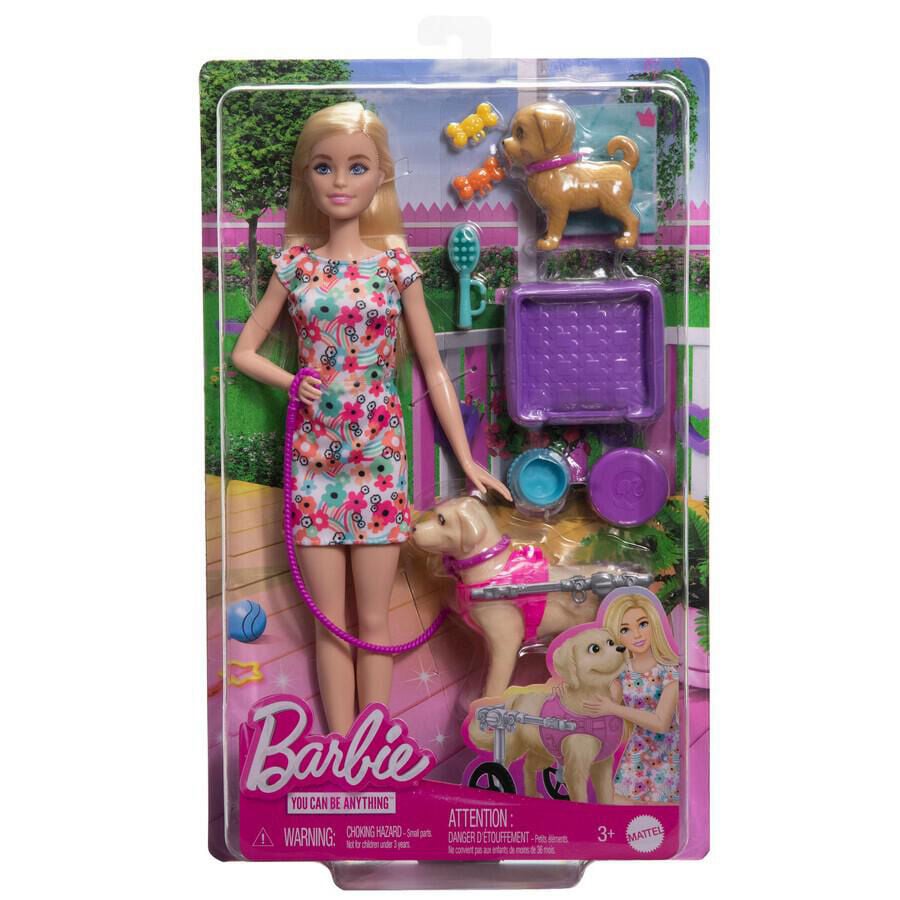 Barbie Doll With Puppy In Wheelchair Set Toys R Us Brunei Official Website