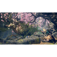 Nintendo Switch 2 Wild Hearts S