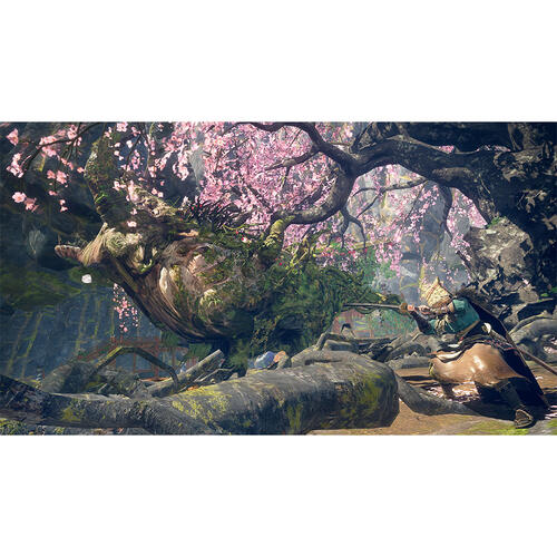 Nintendo Switch 2 Wild Hearts S