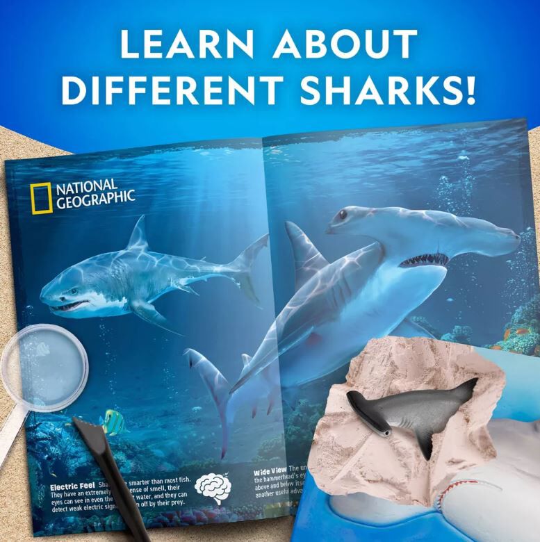 National Geographic Shark Dig Kit Toys R Us Brunei Official Website
